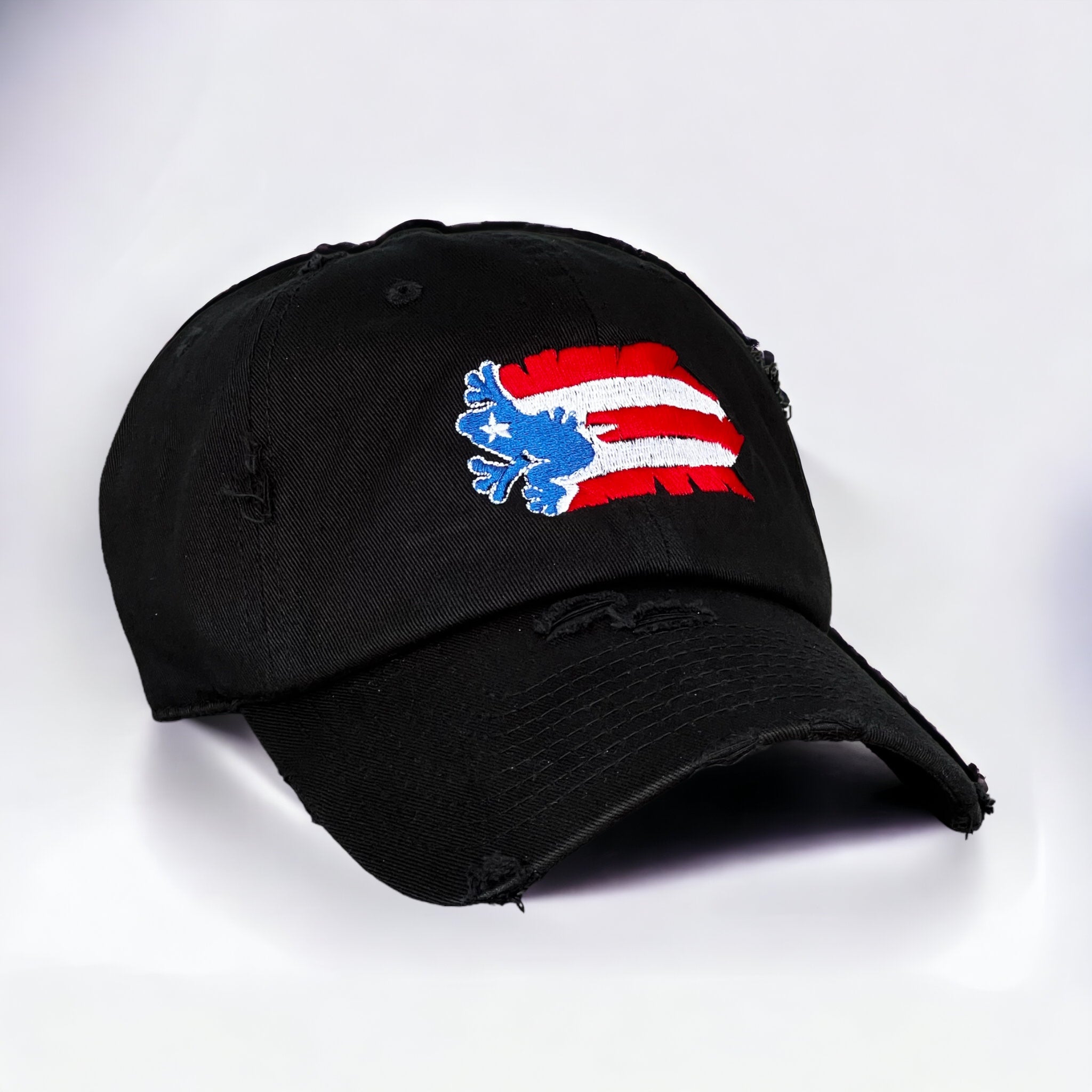 Coqui bandera Dad Hat