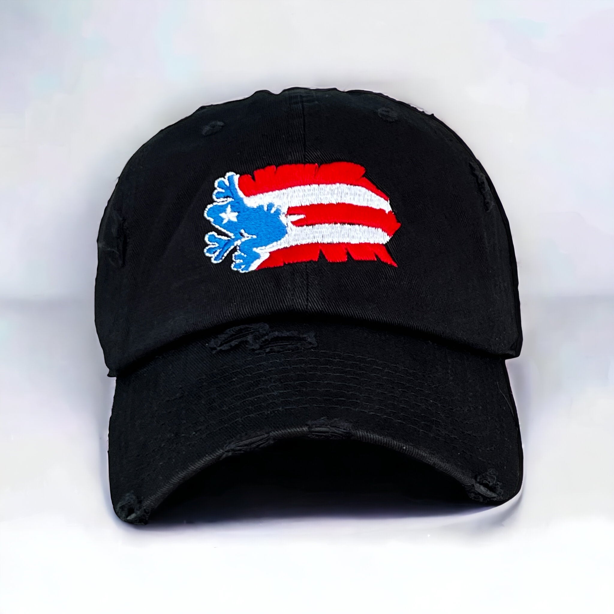 Coqui bandera Dad Hat